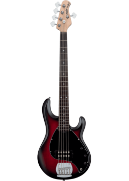 STERLING BY MUSIC MAN RAY5-RRBS-R1