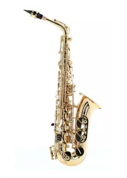 WOODBRASS WSA100