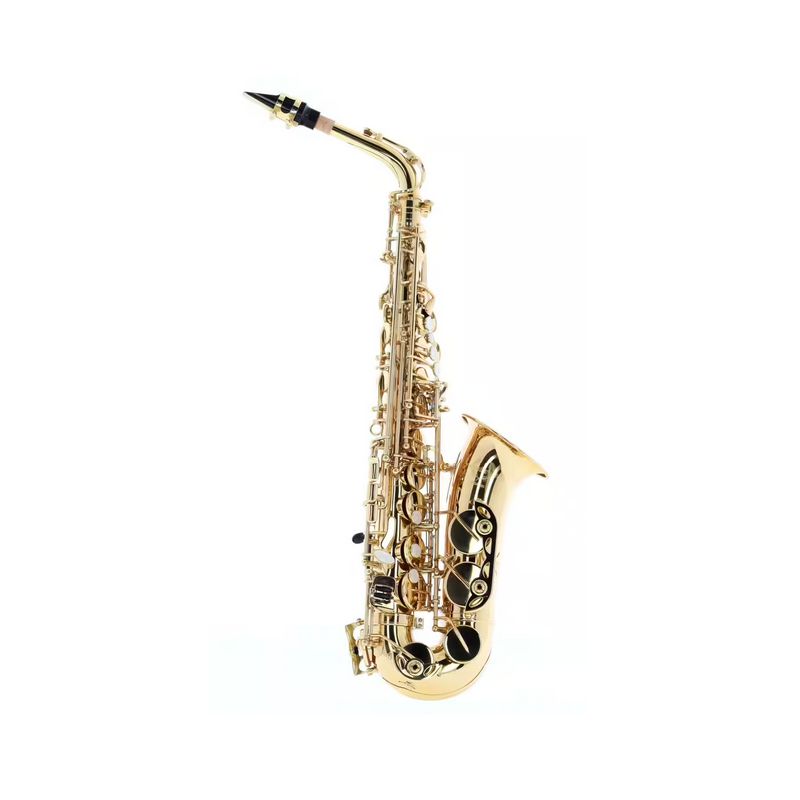 WOODBRASS WSA100